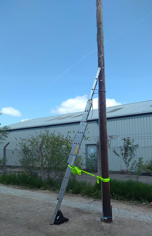 Tetra leaning ladder and flat roof - image 3